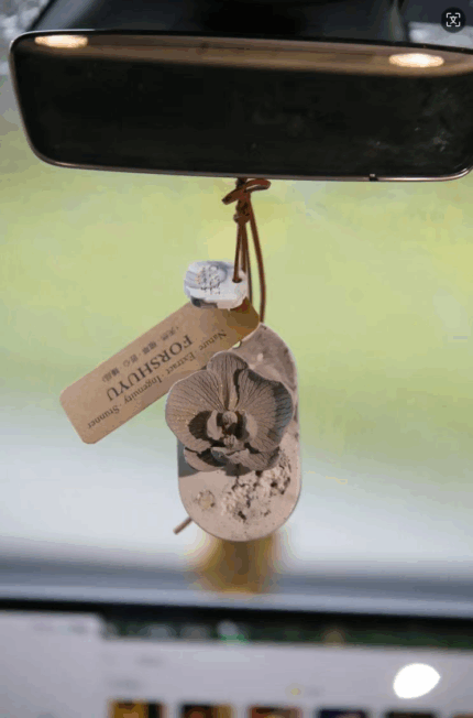 Customized vehicle-mounted Scented gypsum + Single-component essential oil or essential oil supplement solution
